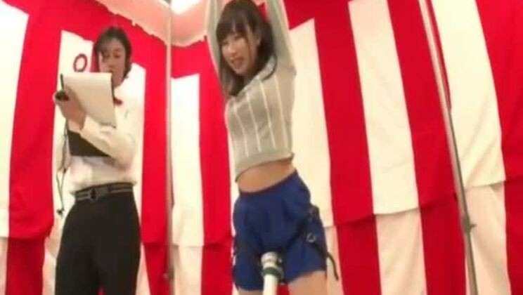 Hermosa zorra asiática