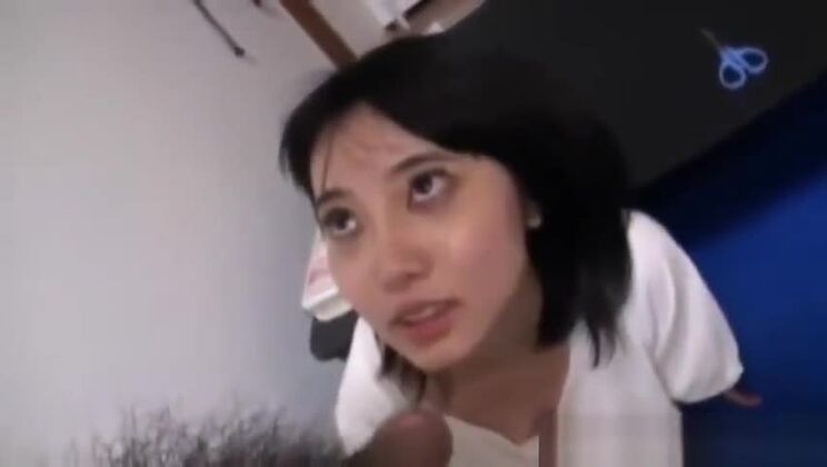 Encantadora perra oriental