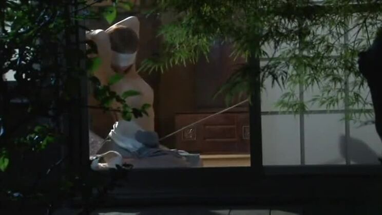 Increíble japonesa Hikaru Shiina