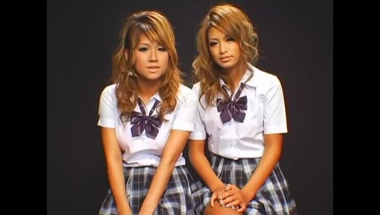 Maravillosa perra japonesa