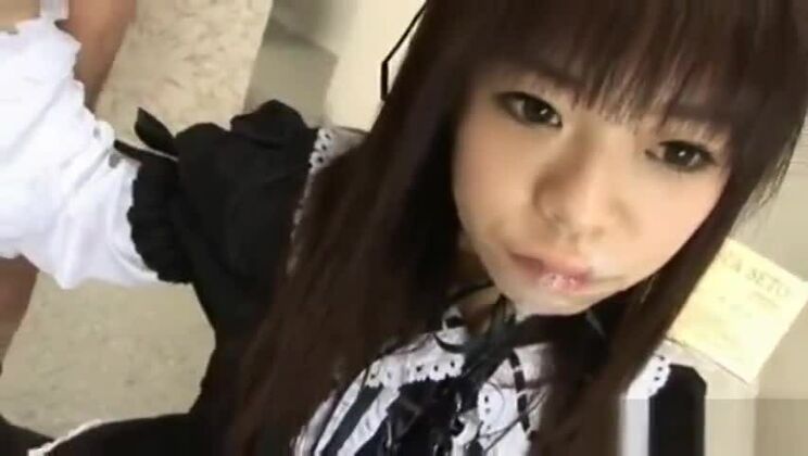 Encantadora chica oriental protagoniza un increíble vídeo porno interracial.