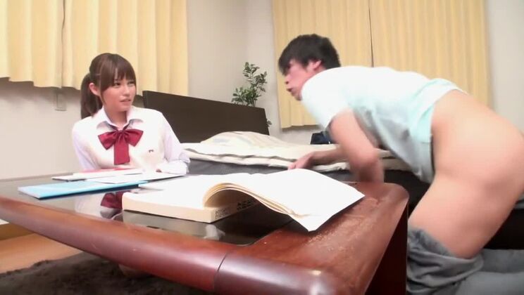 Hermosa perra japonesa