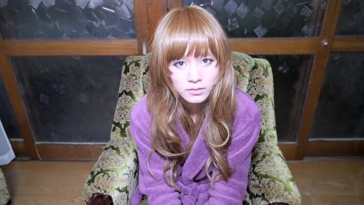 Hermosa perra japonesa