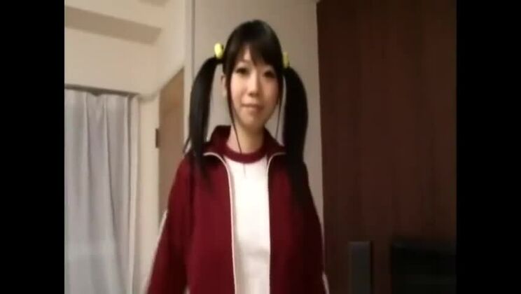 Perra japonesa hermosa