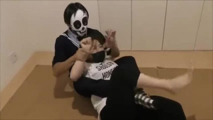 Lucha mixta japonesa