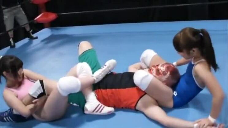 Lucha libre japonesa mixta por equipos 2