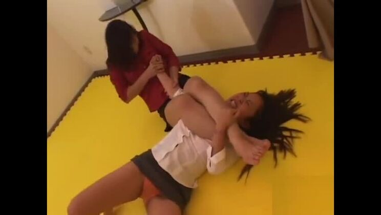 Pelea de gatas japonesas 1-5