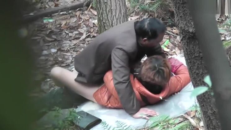 Papá chino Bosque 33